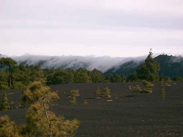 Die Aschefelder  Llano del Jable