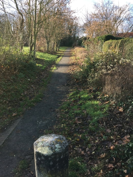 Trailrunde über den Hildesheimer Aussichtsturm