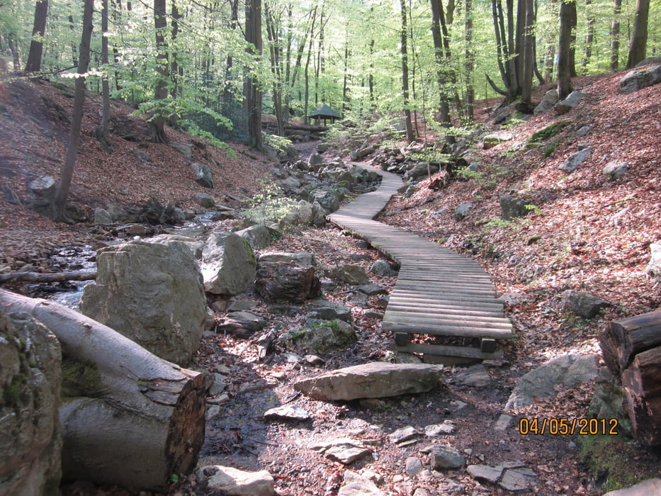 ums Moor bei Spa