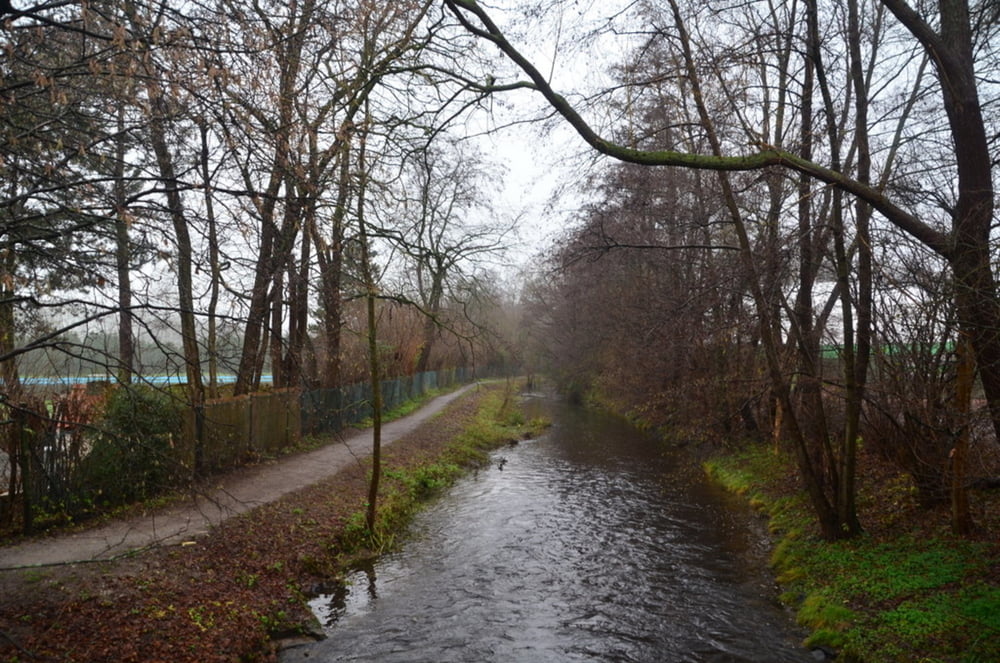 Wachtendonk