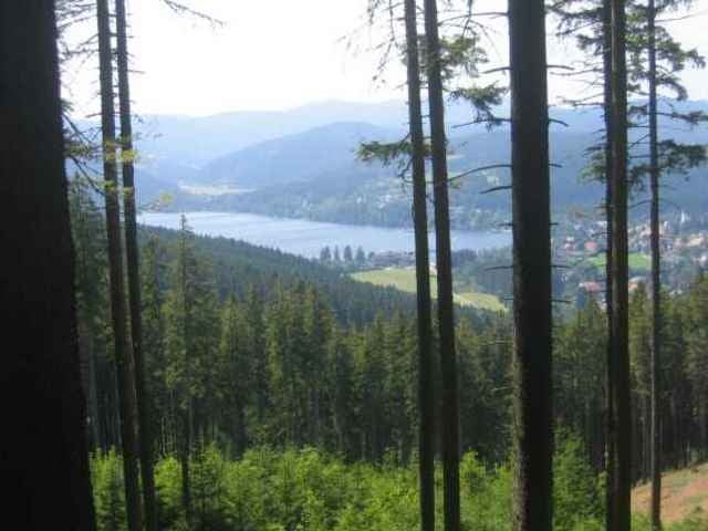 2-3 Tage Schwarzwald