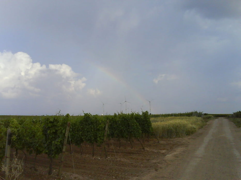 Regenbogentour in die Weindörfer der Pfalz