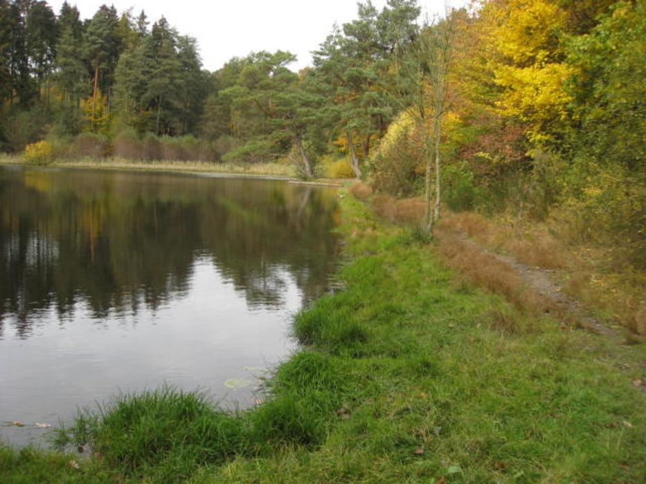 Usingen-Feldberg-Pferdskopf