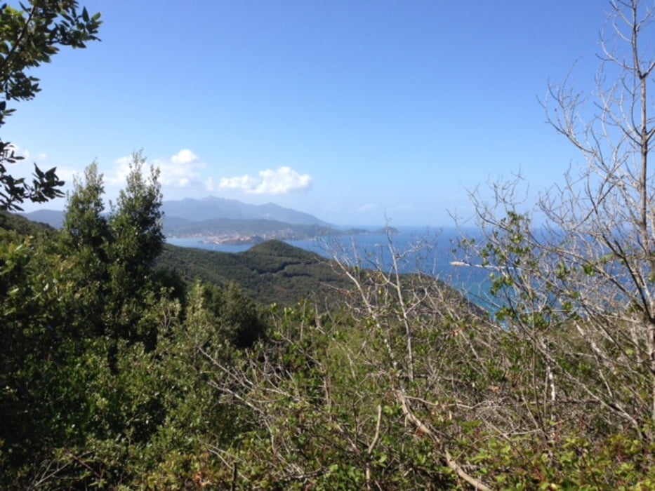 Elba 2