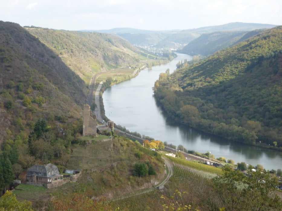 Moselhöhenweg von Treis-Karden nach Cochem