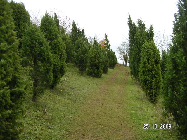 Genusswanderung durch das Lampertstal