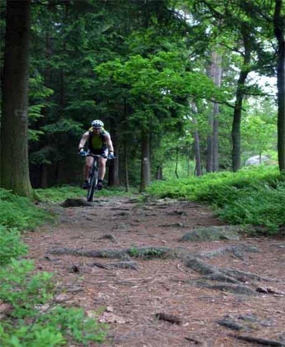 Trans-Bayerwald auf dem Pandurensteig