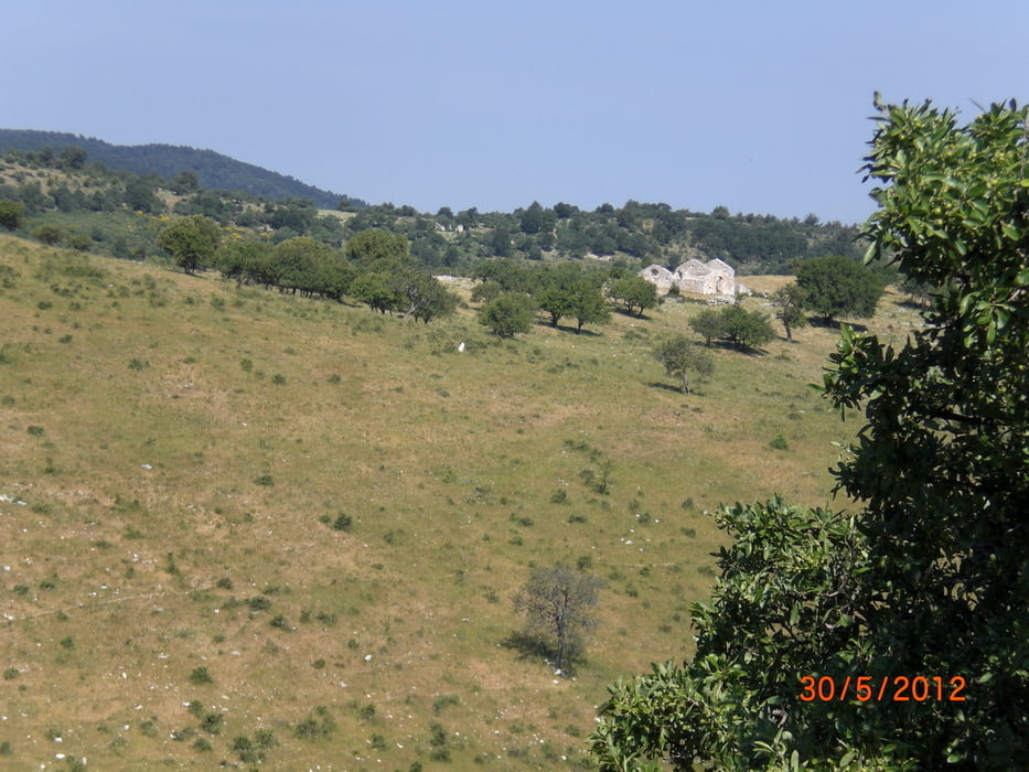 Gargano-Foreste Umbra 5