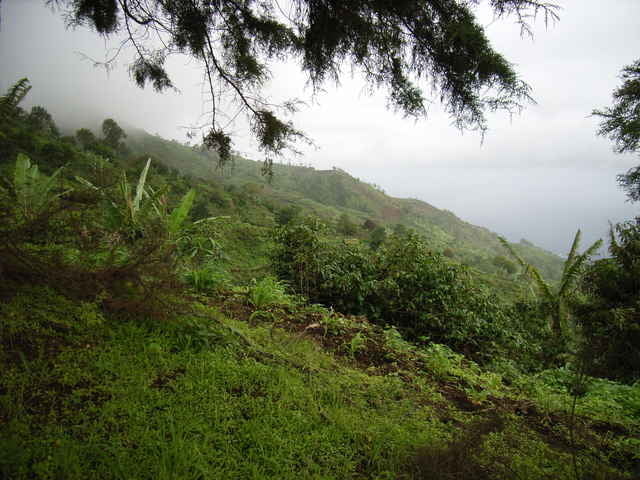 Von Pai António in die Caldeira