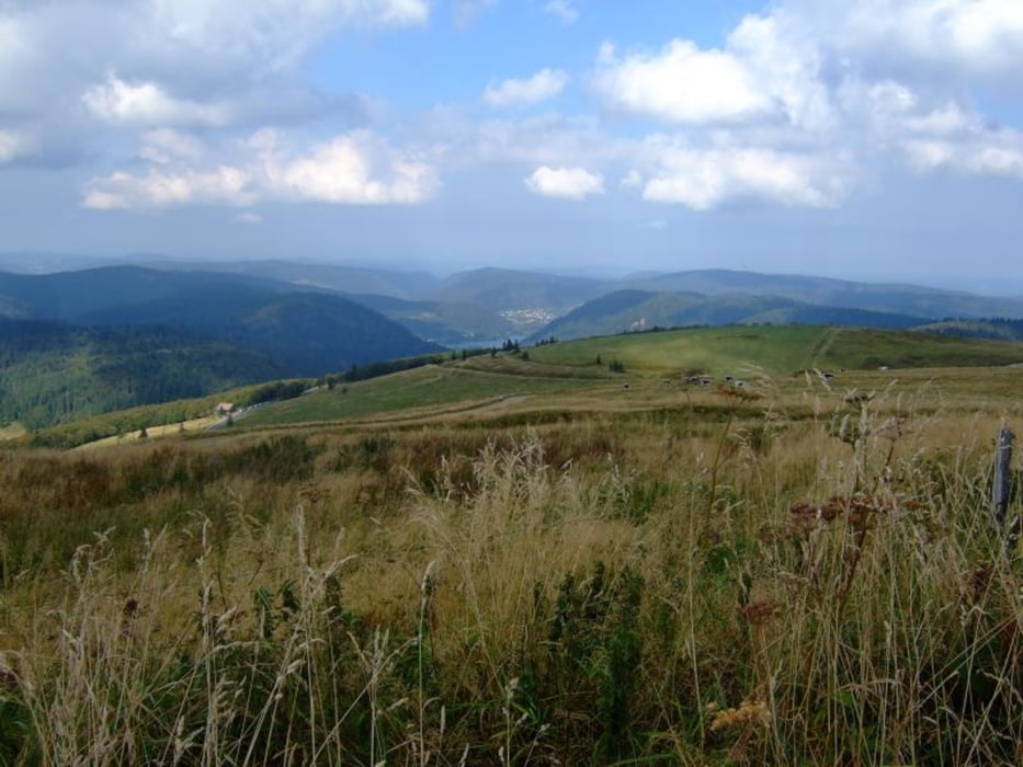 104. Route des Crêtes, GR5, Col du Wormspel, Hohneck, Col du Schaeferthal, Frankenthal, Col de la Schlucht, Martinswand