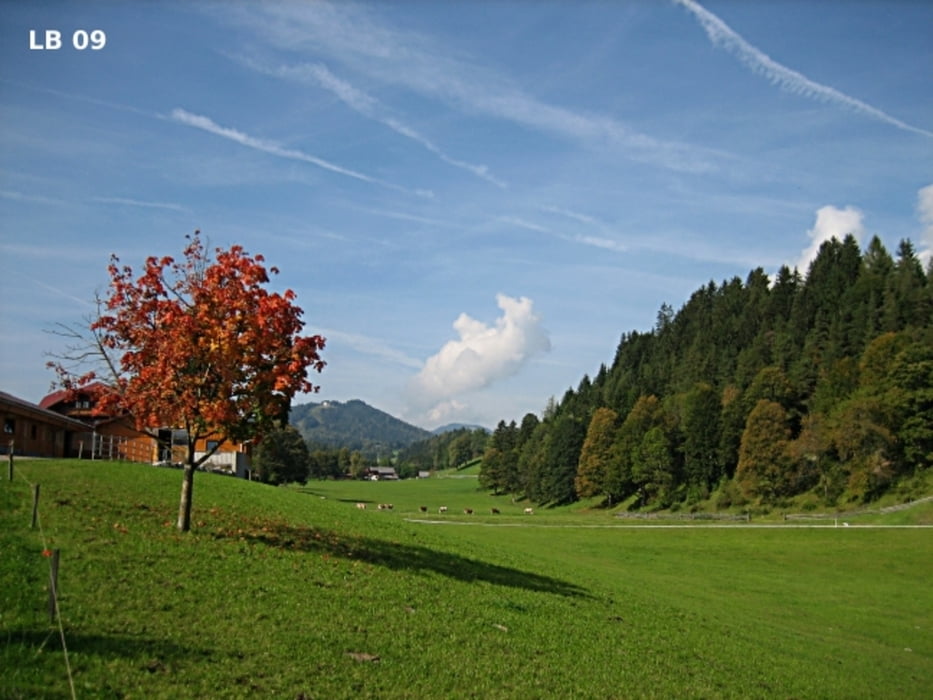 MTB Tour Haus im Ennstal