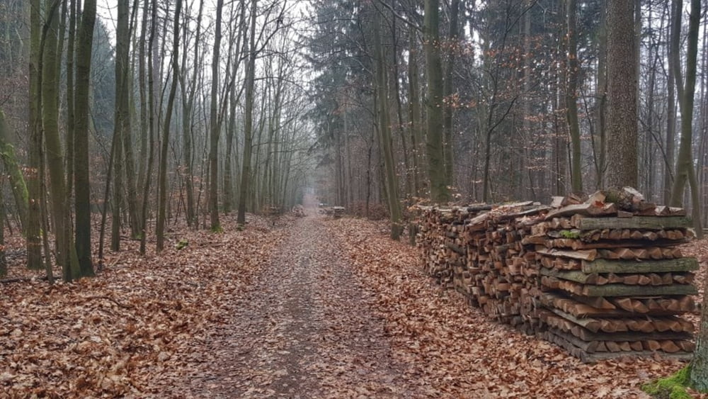 von Groß-Umstadt nach Höchst-Hetschbach