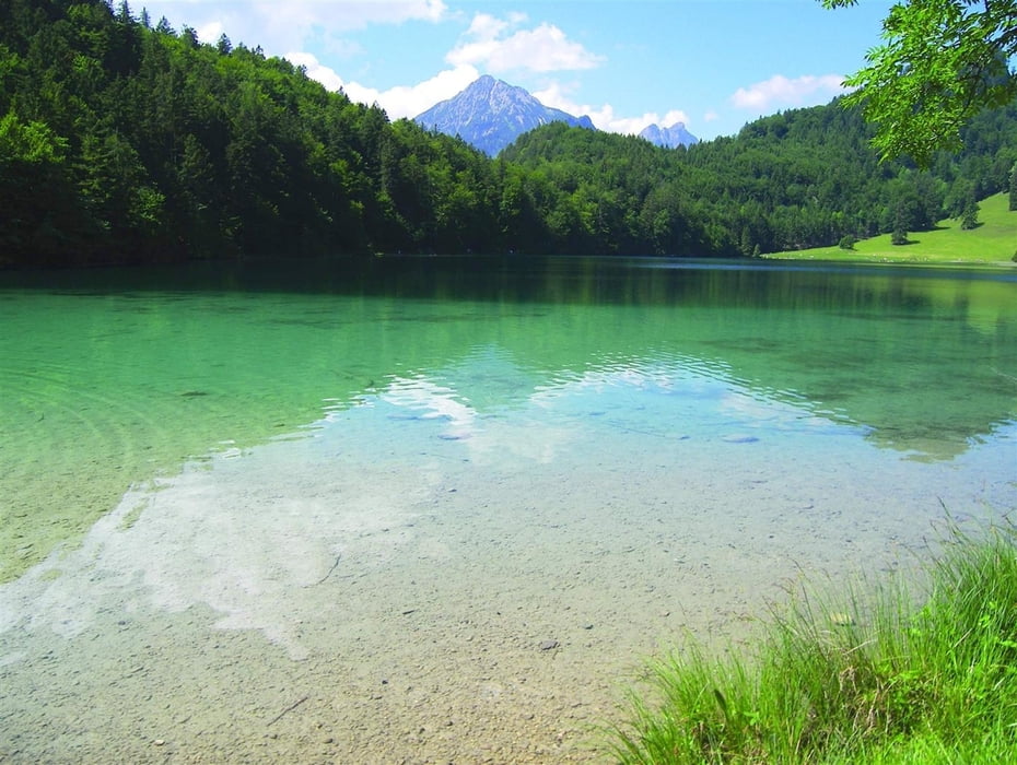 Alatsee