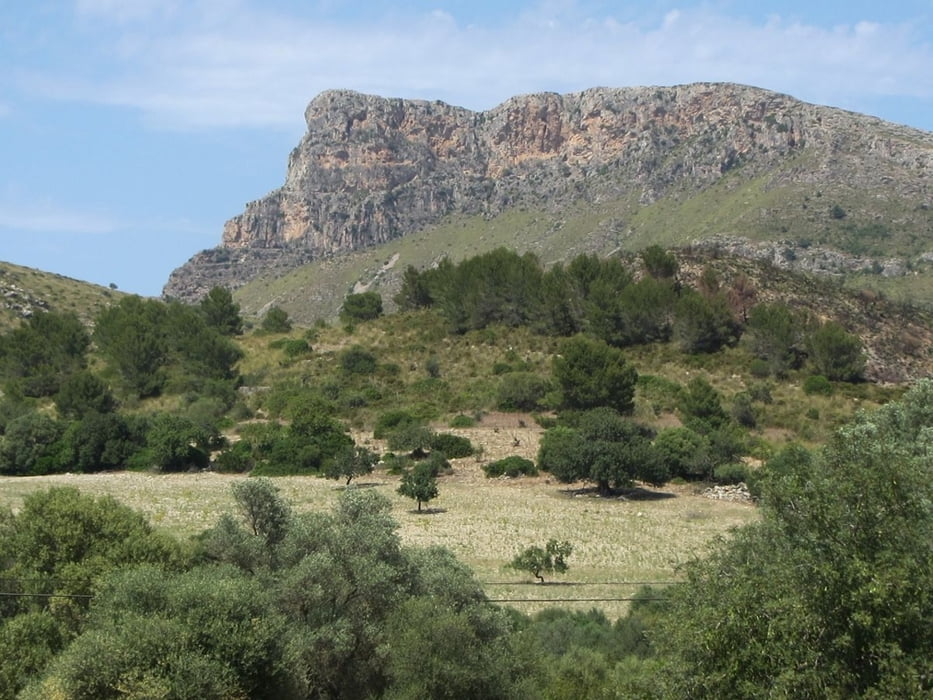 Puig de Ferrutx