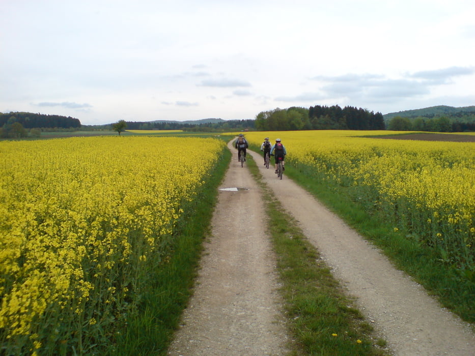 Gräfenberg Winterstein Strahlenfels Reipertsgesee Obertrubach Gräfenberg