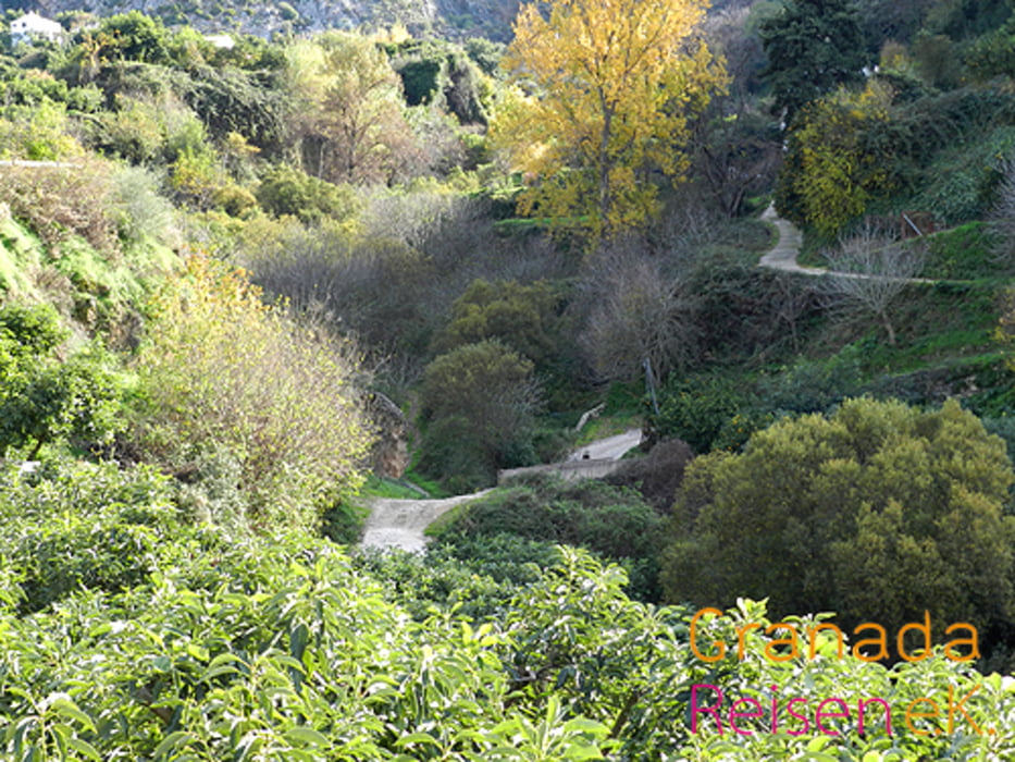 Wandern im Hinterland von Marbella: Istán
