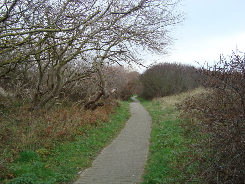 strandwandeling van Bredene naar De Haan