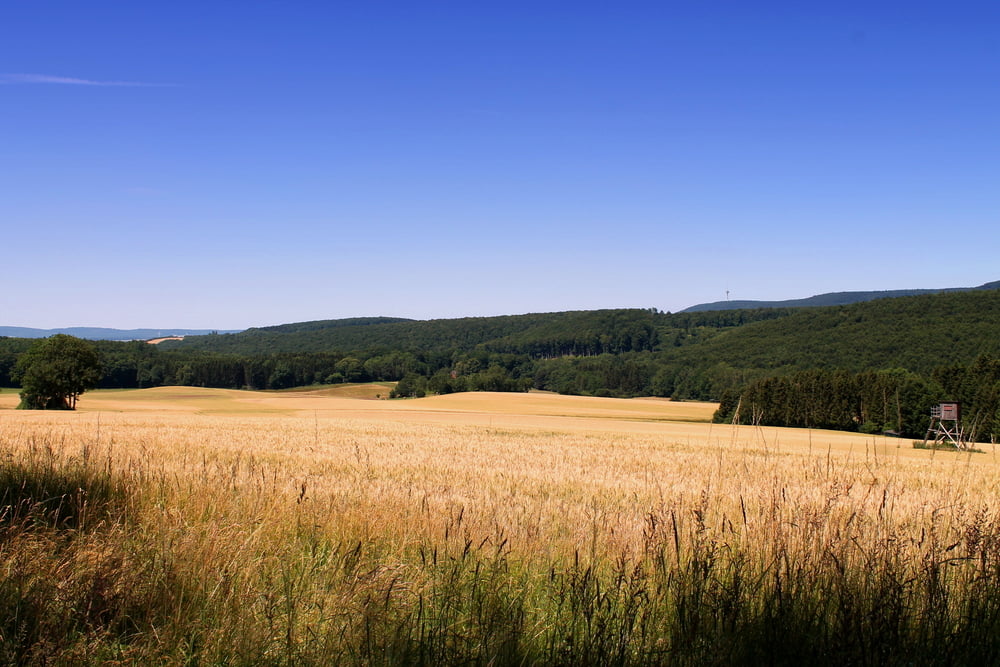 DSMTBV Deister Süd Panorama und Kammweg Tour  