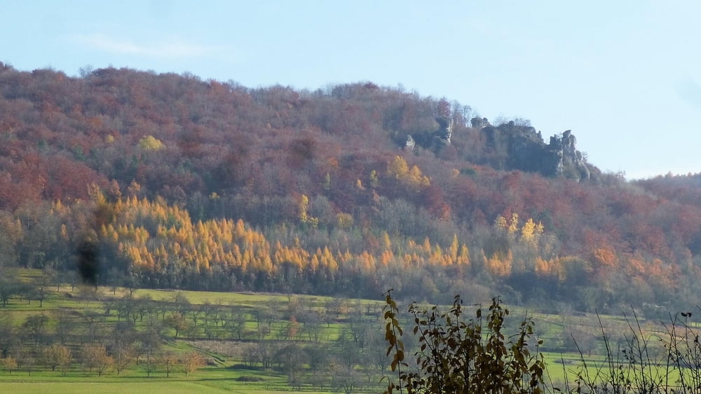Wandern Franken: November in Leutenbach/ Walberla
