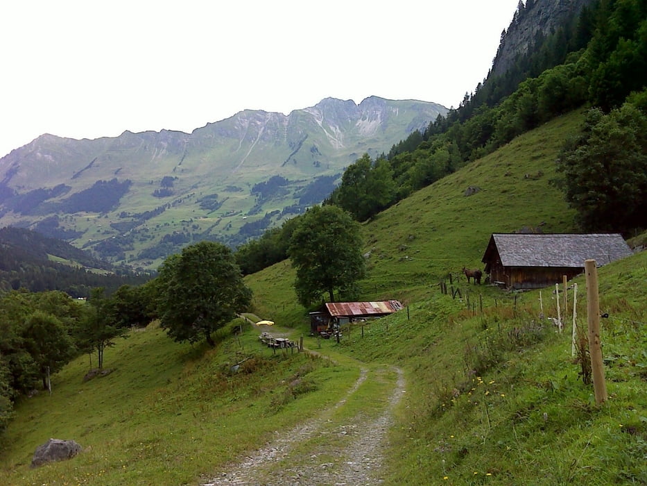 Ins Tal Creux de Champ