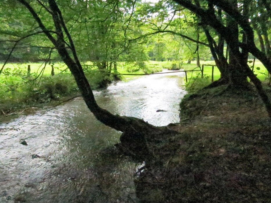 Eisvogelweg (Variante) im Bergischen Land