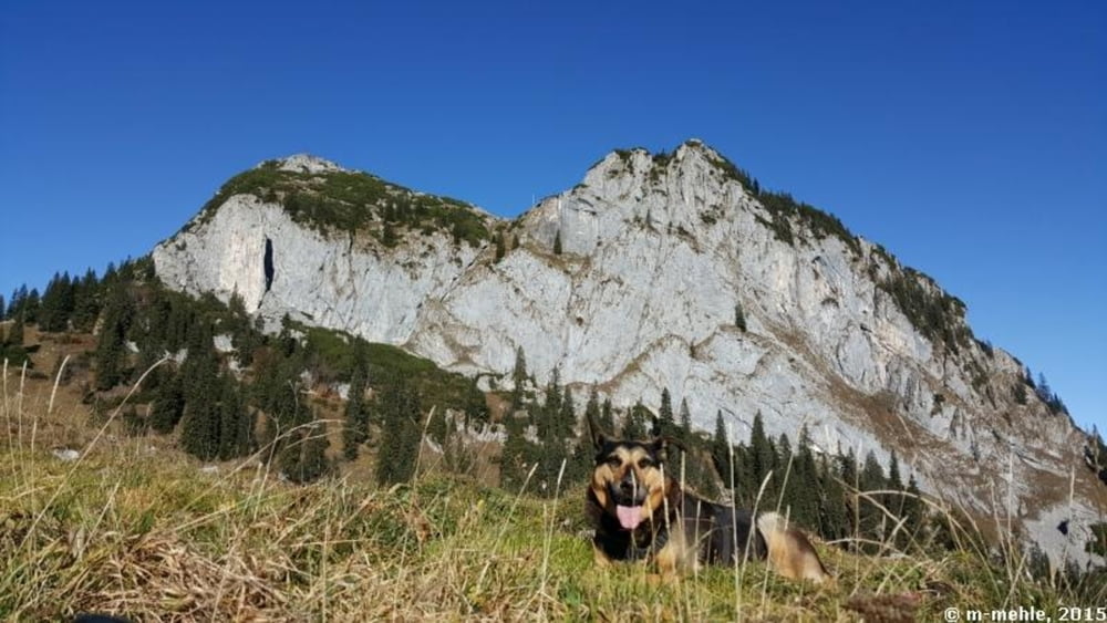 Tegernseer Hütte und Buchsteinhütte, Rundweg