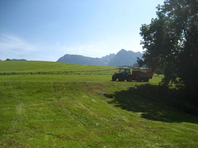 Rubihorn