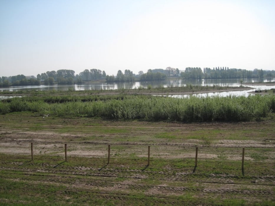 Maas