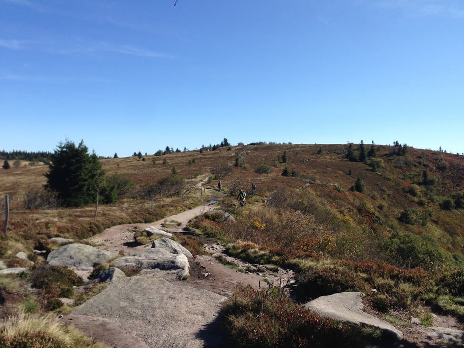 Vogesencross: Etappe 3/6: Col du Calvaire - Auberge Steinlebach