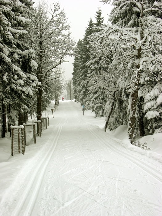 Skilanglaufrunde Weitersglashuette-Fruehbusser Str.-Kranichsee Tschechien