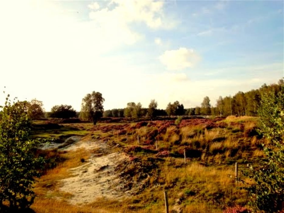 Lage Vuursche (Baarn Hilversum Soest) verbeterd
