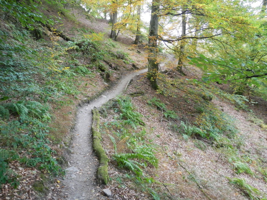 Saar-Hunsrück-Steig - Etappen 19+20a