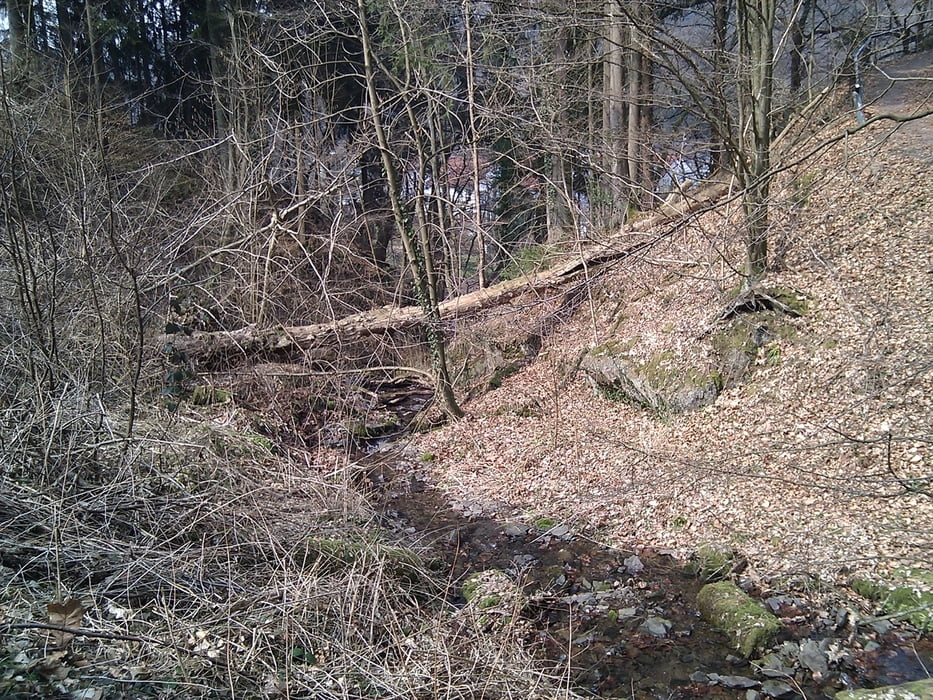 Um die Solinger Sengbachtalsperre und nach Schloß Burg