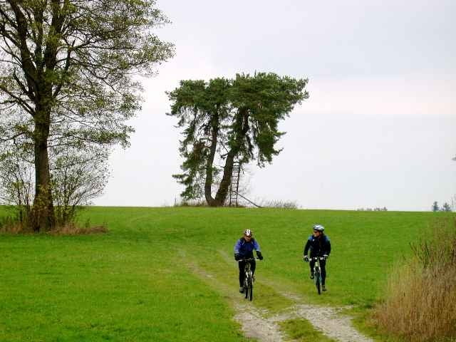 Dießen - Wolfgrub - Utting (Ammersee West)