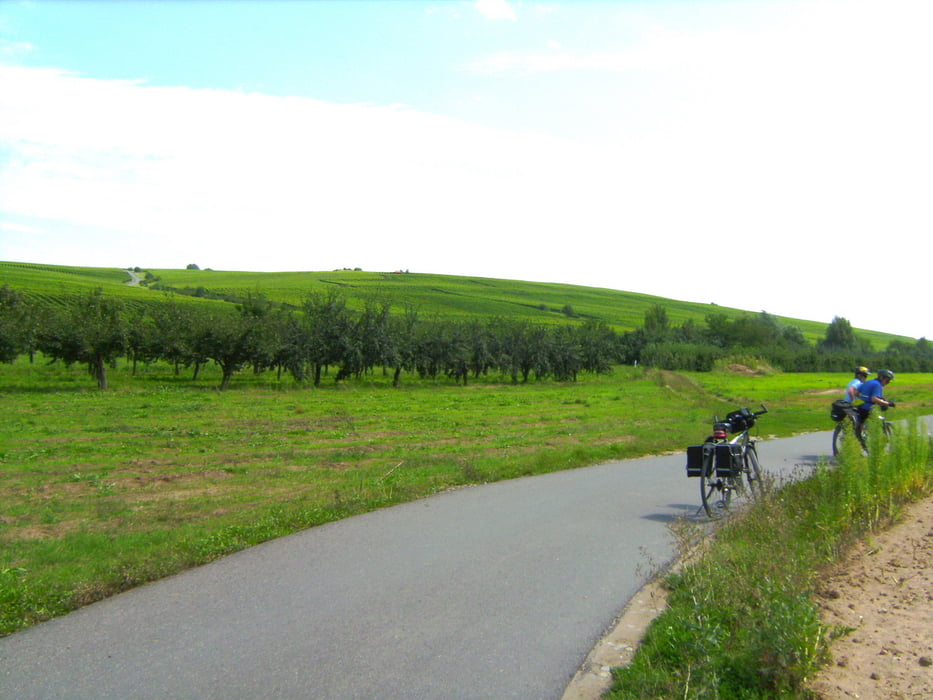 Mainradweg Bayreuth bis Marktheidenfeld