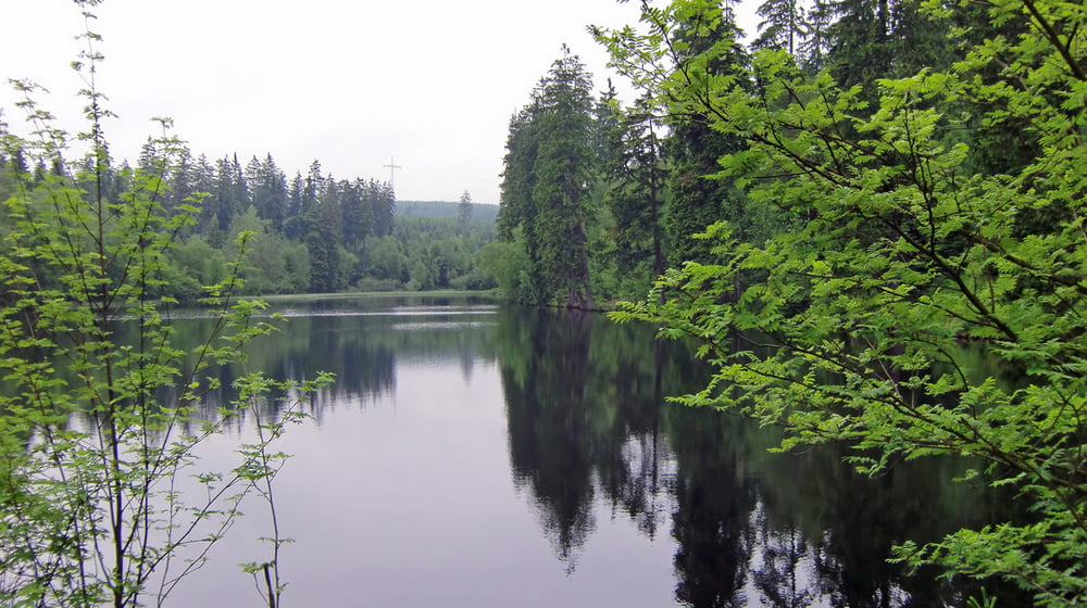 Silberteich - Hahnenkleeklipen - Bodefälle