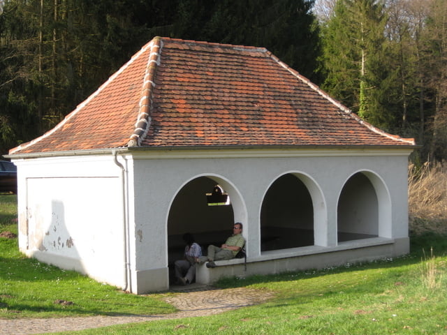 Rote Schnepfe - Zwischen Oberwürzbach und Hassel