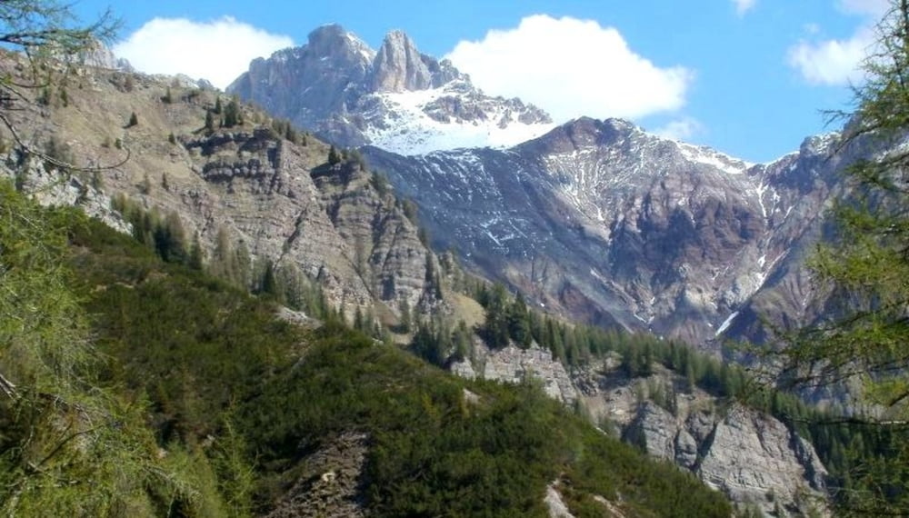 Anello per Malga Bosch Brusà ( Dolomiti)
