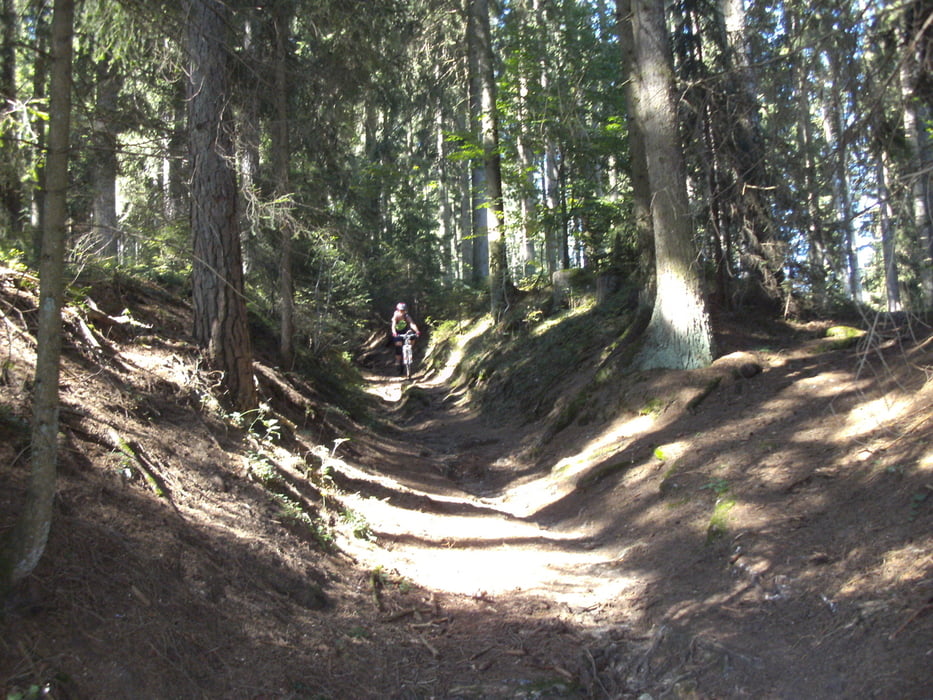 Rohrbach St Stefan Waxenberg Oberneukirchen Helmonsödt Linz