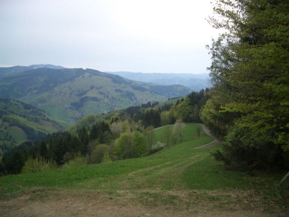 Etzenbacher Höhenweg