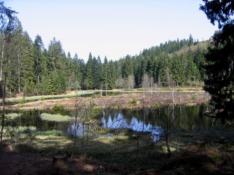Obertal Buhlbachsee Lotharpfad und zurück
