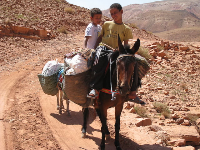 Tour von Telouet nach Aït-Ben-Haddou