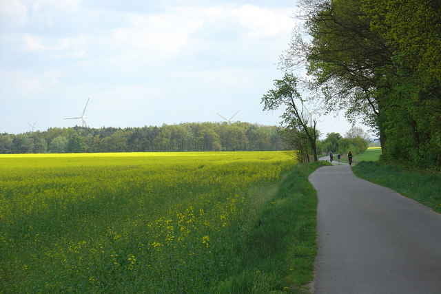 Durchs Berliner Urstromtal von Erkner nach Beeskow