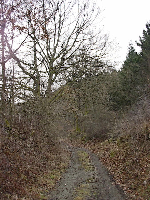 Hotton route 1