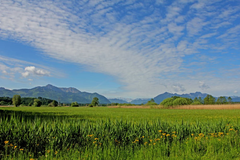 Grabenstätter Moos und Hirschauer Bucht
