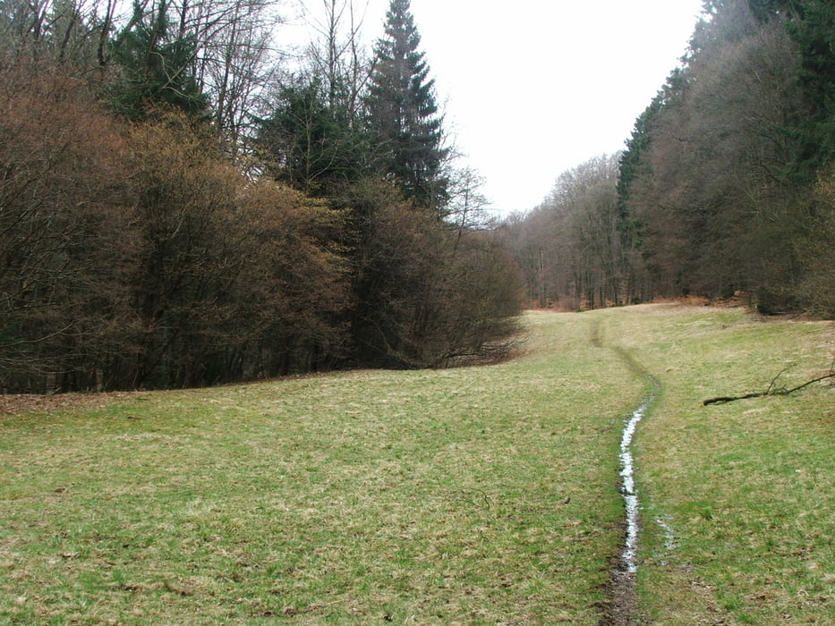Taunus: Königstein - Kleiner Feldberg - Königstein
