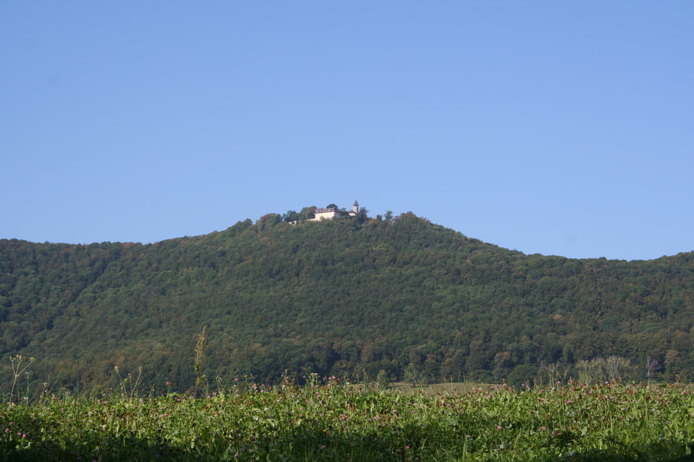 Breitenstein und Teck