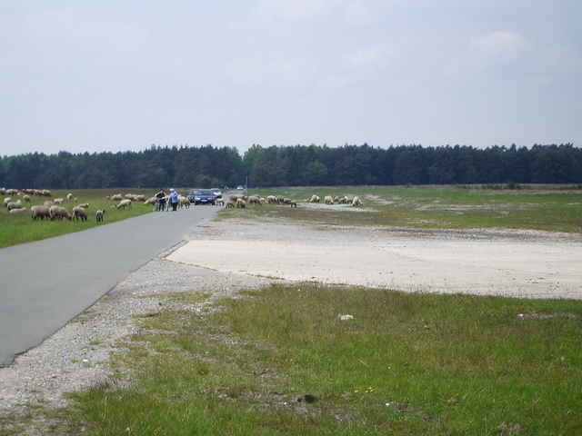 Rundtour Paderborn - Senne - Delbrücker Land