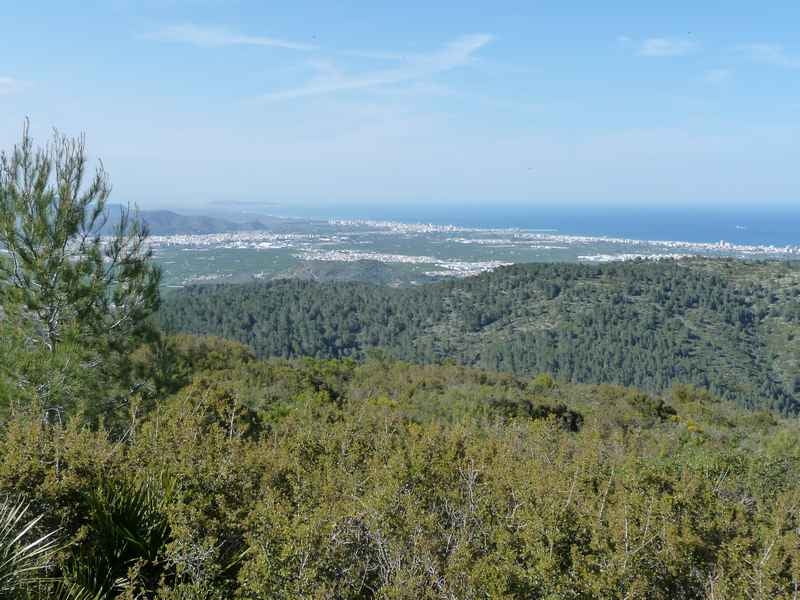 Von Oliva zum Puig Frare - Superpanorama