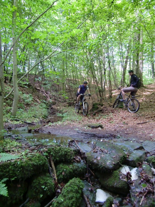 Winnender Trailrunde #1